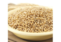 Wheat Berries